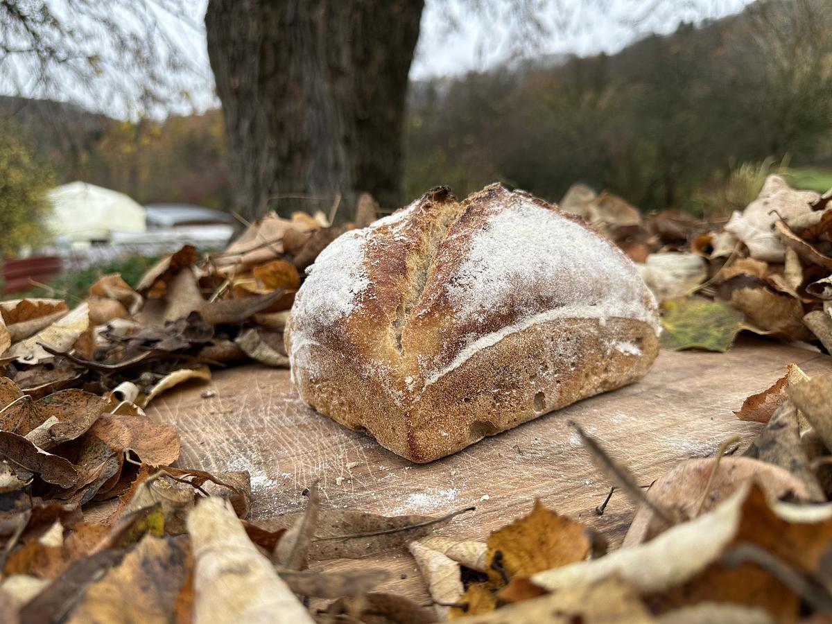 Pain d'épeautre - Image 2
